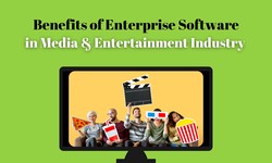 Benefits of Software Development for the Media and Entertainment