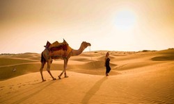 Jaisal Karwaan: Exploring Rajasthan's Majesty - 5-Star Resorts, Jaisalmer City Hotels, and Desert Retreats