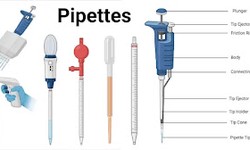 Precision in Action: The Role of Pipettes in Laboratory Equipment
