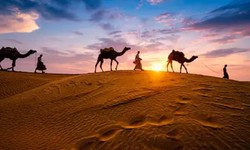 Unveiling the Classic Marwar Tours: A 14-Day Rajasthan Adventure with Premier Travel Agency - Indian Hideaways