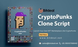 From Concept to Launch: Your Guide to Start an NFT Marketplace Like Cryptopunks