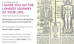 Navigating Towards Your Higher Self: A Journey of Embodiment and Enlightenment with Dr. Shelly Persad
