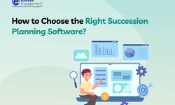 How to Make the Right Choice for Succession Planning Software? - Bullseye Engagement