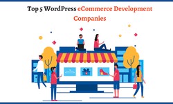 Top 5 WordPress eCommerce Development Companies