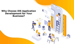 Why Choose iOS Application Development for Your Business?