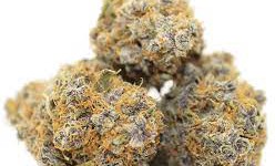 Runtz Cake Strain: A Flavorful Fusion of Cannabis Excellence