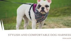 Stylish, Functional, and Comfortable Dog Harnesses from Australia