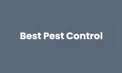 Mastering Ant Control: Your Ultimate Guide to the Best Indoor Ant Killers in Corpus Christi, TX