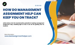 How Do Management Assignment Help Can Keep You on Track?