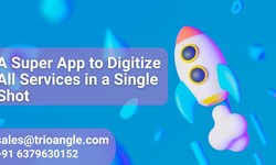 A Super App to Digitize All Services in a Single Shot