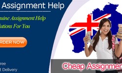 Cheap Assignment Help services for every college and university student from experts