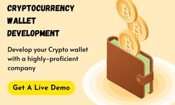 How Can Cryptocurrency Wallet Development Help Your Business?