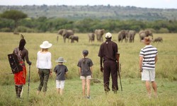 The Ultimate Guide to Planning Your Dream Kenya Safari Holiday