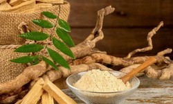 The main effects and functions of ginseng extract