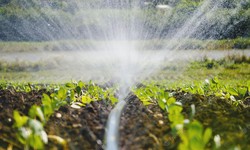 Smart Watering for Smart Gardens: Harnessing the Potential of Automatic Irrigation