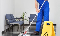 House Cleaning Toronto: Keeping Your Home Sparkling Clean