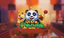 The Curious Tale of Ultra Panda 777