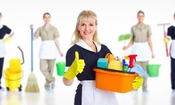 The Unsung Heroes of Cleanliness: Cleaning Ladies in Toronto