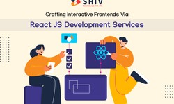 Crafting Interactive Frontends Via React JS Development Services