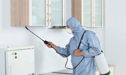 Comparing Pest Control Methods: Which Approach is Best for Your Home?