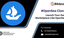 How To Build Your NFT Marketplace Faster: OpenSea Clone Script Benefits
