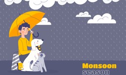 Weather JSON API: Accessing Weather Data Effortlessly