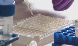 How to Perform a 96-Well Plate Insulin Assay