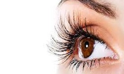 Best Eyelash Extension Services Dandenong North – Artlashes