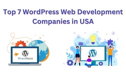 Top 7 WordPress Web Development Companies in USA