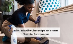 Why TaskRabbit Clone Scripts Are a Smart Choice for Entrepreneurs