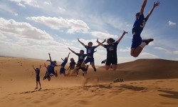 7-Hour Abu Dhabi Desert Safari With BBQ, Camel Ride & Sandboarding