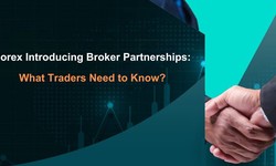 Forex Introducing Broker Partnerships: What Traders Need to Know?