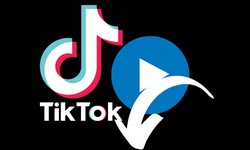 From Hashtags to Hype Houses: Navigating TikTok Culture