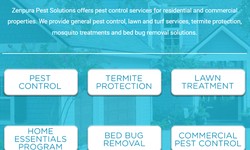 Effective Pest Control Solutions for Jacksonville, Florida Residents