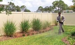 The Benefits of Lawn Treatment Services in Jacksonville