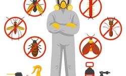 Get Pest Control Procedures And Get Rid Of Parasites