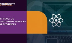 Top React JS Development Services for Beginners