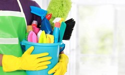 Nylon Household Cleaning Brushes Market: A Comprehensive Overview