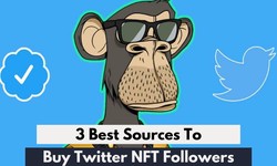 3 Best Sources to Buy Twitter NFT Followers