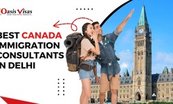Oasis Visas: Your Gateway to Canada - Best Canada Immigration Consultants in Delhi