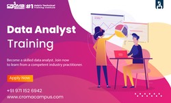 List the "Must Have" Data Analyst Skills
