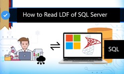 How to Read LDF File of SQL Server: Importance and Benefits