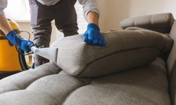 How to Dry A Wet Couch Fast?