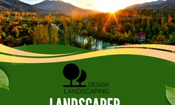 Enhance Curb Appeal with Trusted Landscapers in Edmonton