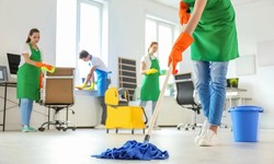The Importance of Hiring Professional Bond Cleaning Services
