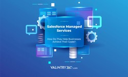 Enhancing Business Efficiency through Salesforce Managed Support Services – VALiNTRY360