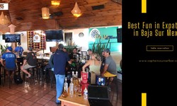 Experience the Best Fun in Expat Bars in Baja Sur Mexico