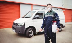 A Step-by-Step Guide to Finding the Best Pest Control Services