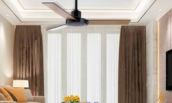 Functionality Meets Aesthetics! The Fan Studio's Curation of Wooden Ceiling Fans