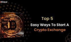 Top 5 Ways To Start A Cryptocurrency Exchange In 2023